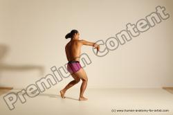 Elmer - Traditional Korean Art